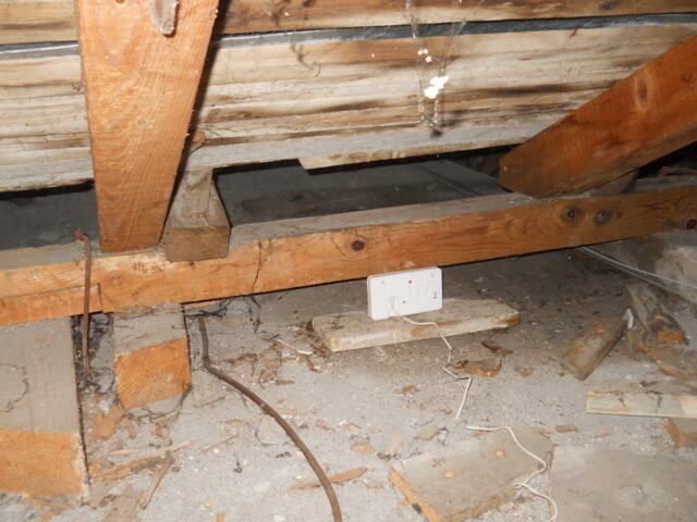 Deratizacija tavanskog prostora kombinovanim metodama — snimak 14 od 20