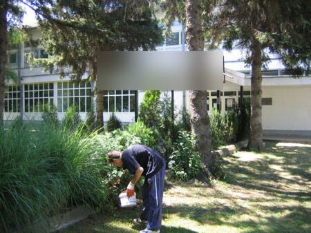 Prolećna sistematska deratizacija opštine, 2007 — snimak 2 od 8