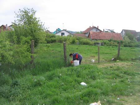 Prolećna sistematska deratizacija opštine, 2009 — snimak 5 od 11