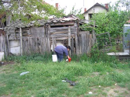 Prolećna sistematska deratizacija opštine, 2009 — snimak 6 od 11