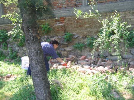 Prolećna sistematska deratizacija opštine, 2009 — snimak 11 od 11