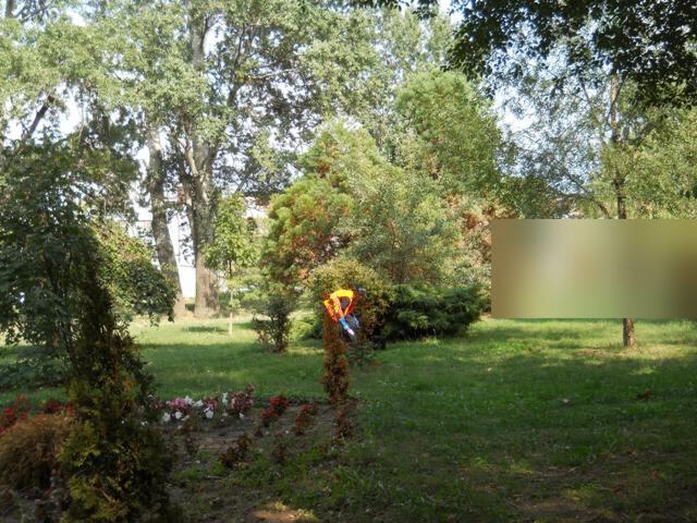 Deratizacija zelenih javnih površina i pijace — snimak 11 od 25