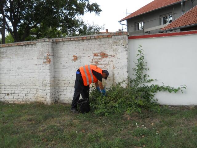 Deratizacija zelenih javnih površina i pijace — snimak 16 od 25