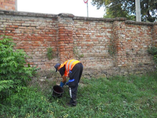 Deratizacija zelenih javnih površina i pijace — snimak 17 od 25