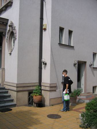 Dezinsekcija prostorija humanitarne organizacije — snimak 3 od 4