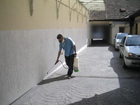 Suzbijanje škorpiona u dvorištu preduzeća — snimak 1 od 8