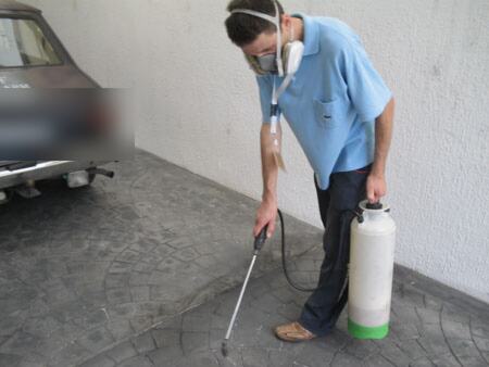 Suzbijanje škorpiona u dvorištu preduzeća — snimak 2 od 8