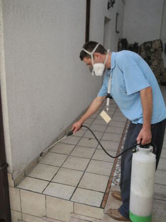 Suzbijanje škorpiona u dvorištu preduzeća — snimak 5 od 8