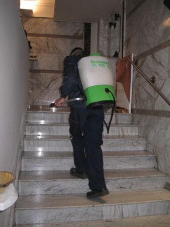 Dezinsekcija male pozornice teatra — snimak 4 od 6