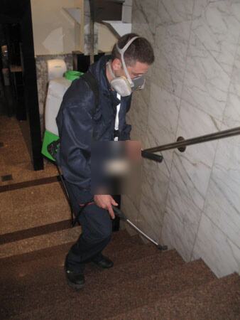 Dezinsekcija male pozornice teatra — snimak 6 od 6