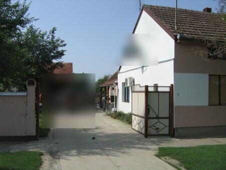 Larvicidna i adulticidna eradikacija muva sa panelnom zaštitom na farmi krava — snimak 1 od 12