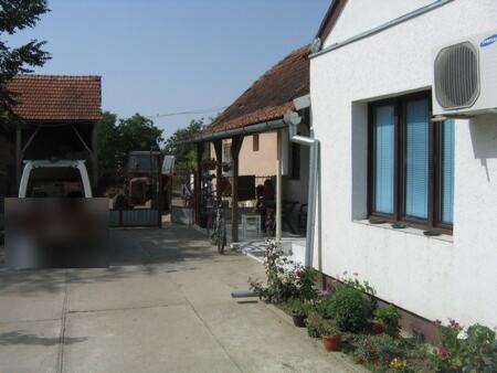Larvicidna i adulticidna eradikacija muva sa panelnom zaštitom na farmi krava — snimak 5 od 12