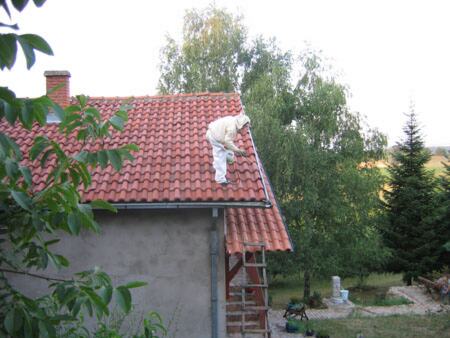 Rešen problem stršljenova na krovu porodične kuće — snimak 2 od 4