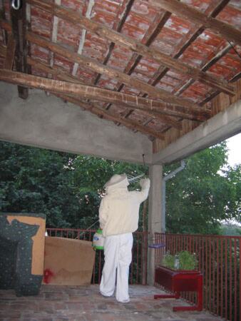 Rešen problem stršljenova na krovu porodične kuće — snimak 3 od 4