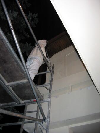 Suzbijanje stršljenova na krovu, sa montažom aluminijumske skele visine 6 m — snimak 3 od 9