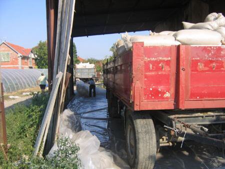 Suzbijanje graškovog žiška sondiranjem otrovnog gasa (fumigacijom) pod folijom — snimak 1 od 4