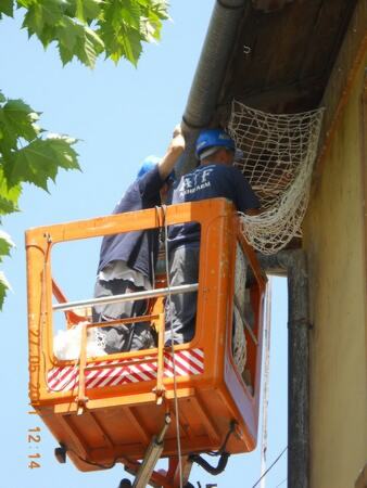 Kontrola ptica na železničkoj infrastrukturi — snimak 14 od 26