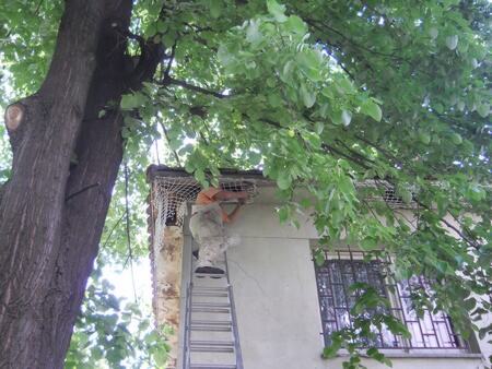 Postavljanje zaštitne mreže protiv ulaska ptica u krov objekta — snimak 4 od 21