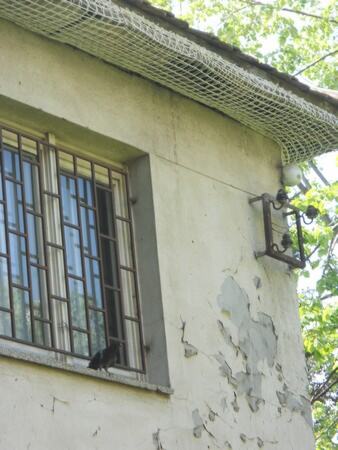 Postavljanje zaštitne mreže protiv ulaska ptica u krov objekta — snimak 7 od 21