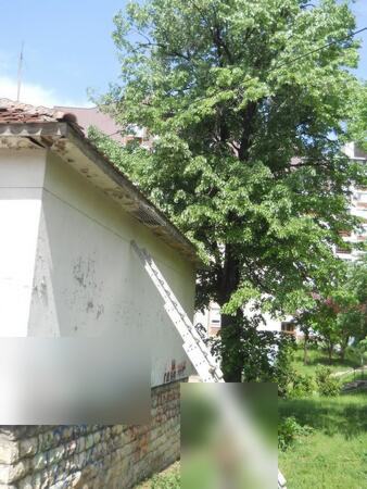Postavljanje zaštitne mreže protiv ulaska ptica u krov objekta — snimak 14 od 21