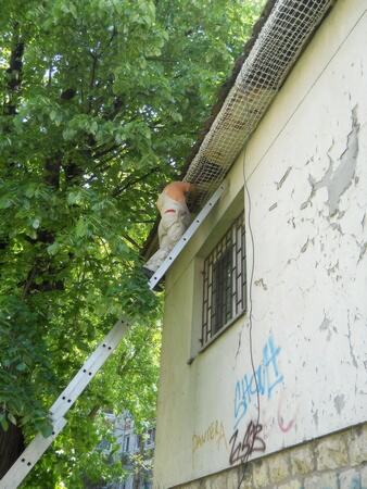 Postavljanje zaštitne mreže protiv ulaska ptica u krov objekta — snimak 19 od 21