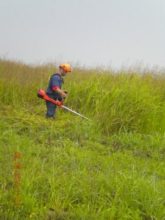 Košenje invazivnih korova (Ambrosia artemisiifolia sp. - Ambrozija i druge vrste) visine do 2,5 m — snimak 15 od 18