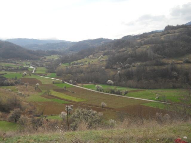 Redna seča rastinja ispod dalekovoda na jugu Srbije — snimak 1 od 14