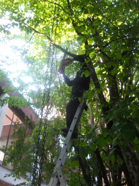 Seča rastinja sa teleskopom oko zgrada — snimak 1 od 14