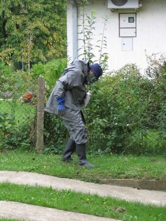Tretman suzbijanja krtica — snimak 12 od 12