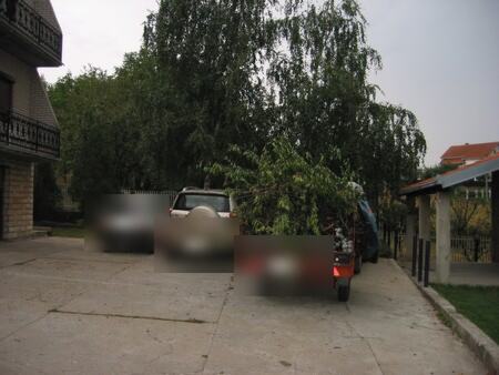 Sečenje stabla motornom testerom u dvorištu kuće, sa odvoženjem posečenih grana — snimak 6 od 6