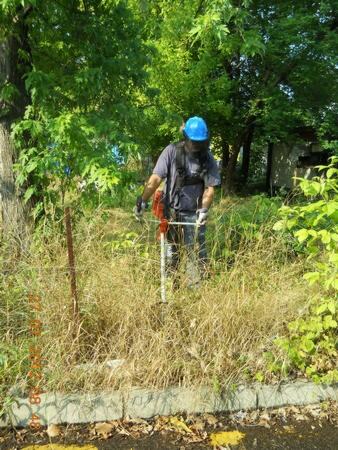 Košenje, krčenje i čišćenje poslovnog prostora — snimak 16 od 29