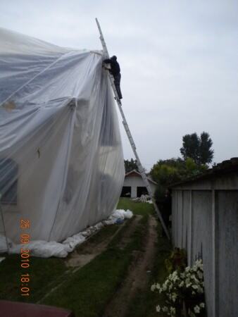 Zaštita drveta gasom (fumigacija) pod ciradom, na objektu površine 300 m² — snimak 15 od 15